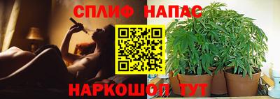 стафф Краснокаменск