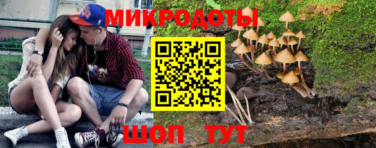 Псилоцибиновые грибы прущие грибы Кимовск