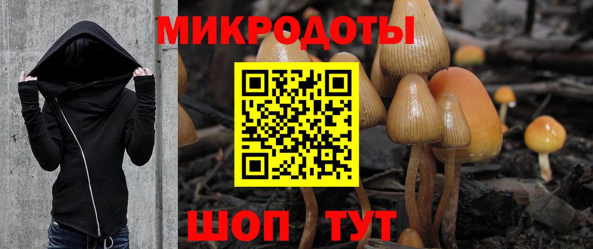 Псилоцибиновые грибы мухоморы  Вход с VPN  Кимовск 