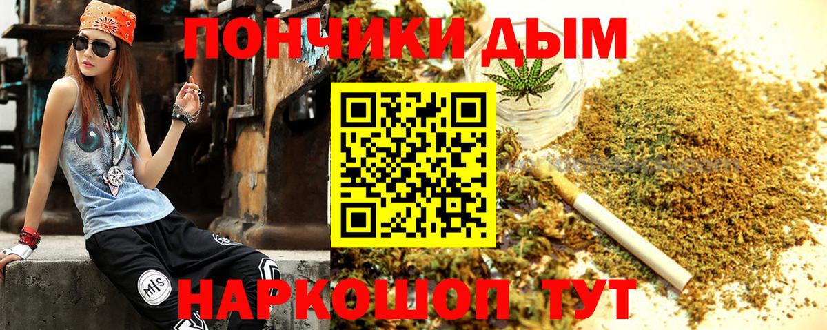 Каннабис сатива Кимовск